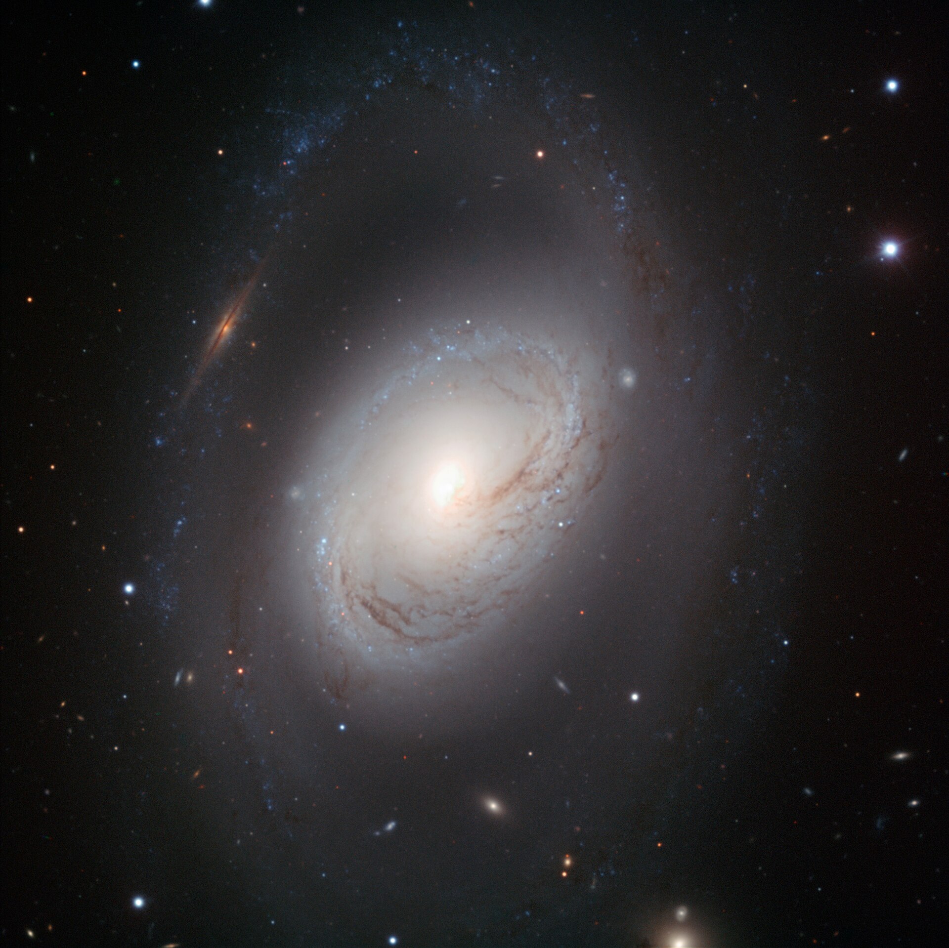 Distant light — barred spiral galaxy NGC 3368. Photograph by ESO/Oleg Maliy, CC BY 3.0.